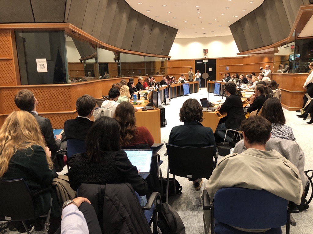 A conference room at the European Parliament where people are gathered. Two semi arched wooden tables face each other, the length of which is nearly the full room, with about 20 people on either side. They are present to discuss the need for a European mental health strategy.